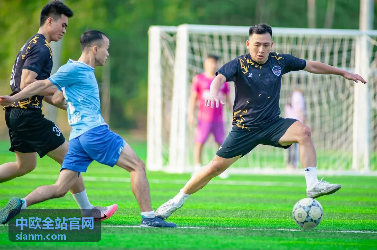 中欧全站官网中欧产业协作大会主视觉现场